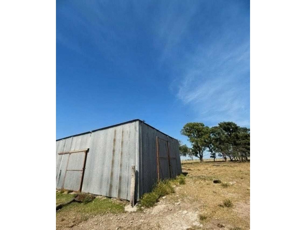 CAMPO 200 HECTAREAS, GANADERO, VILLA IRIS, BUENOS AIRES, ARGENTINA - 5