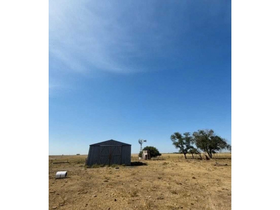 CAMPO 200 HECTAREAS, GANADERO, VILLA IRIS, BUENOS AIRES, ARGENTINA - 6