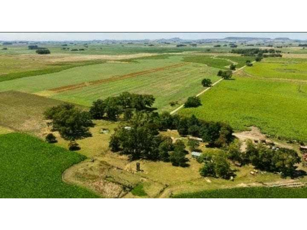 CAMPO 2057 HECTAREAS, MIXTO, LOBERIA, BUENOS AIRES, ARGENTINA - 1
