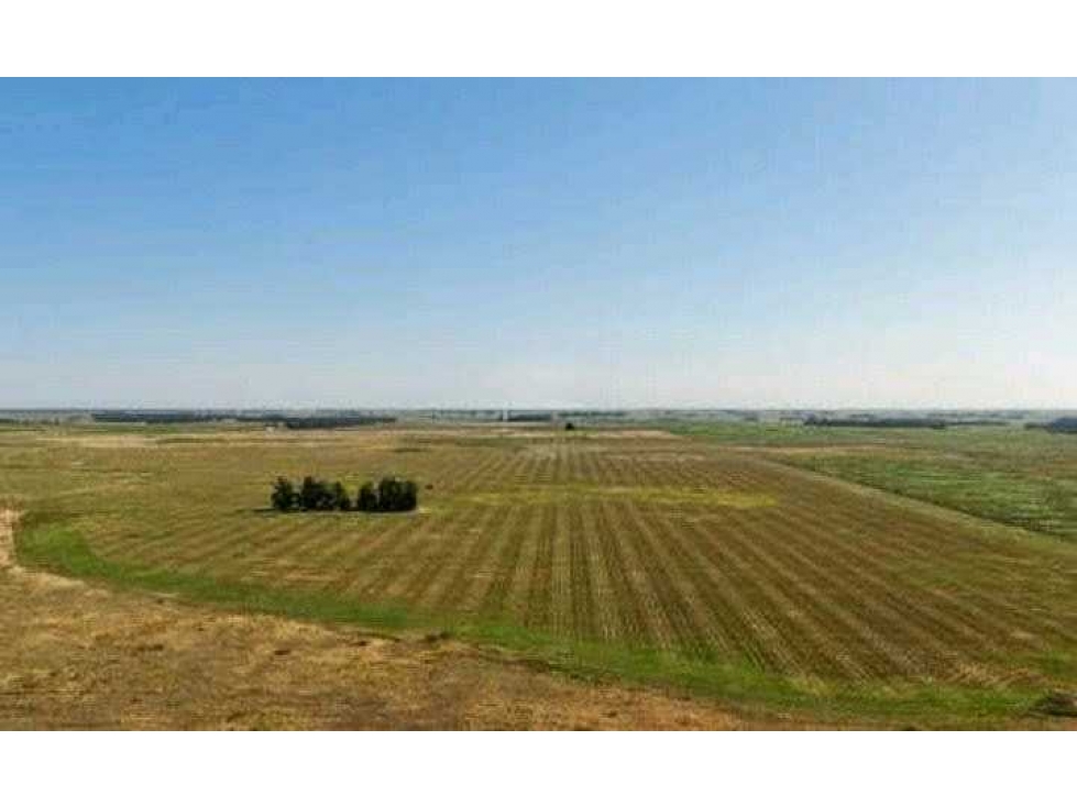 CAMPO 2057 HECTAREAS, MIXTO, LOBERIA, BUENOS AIRES, ARGENTINA - 2