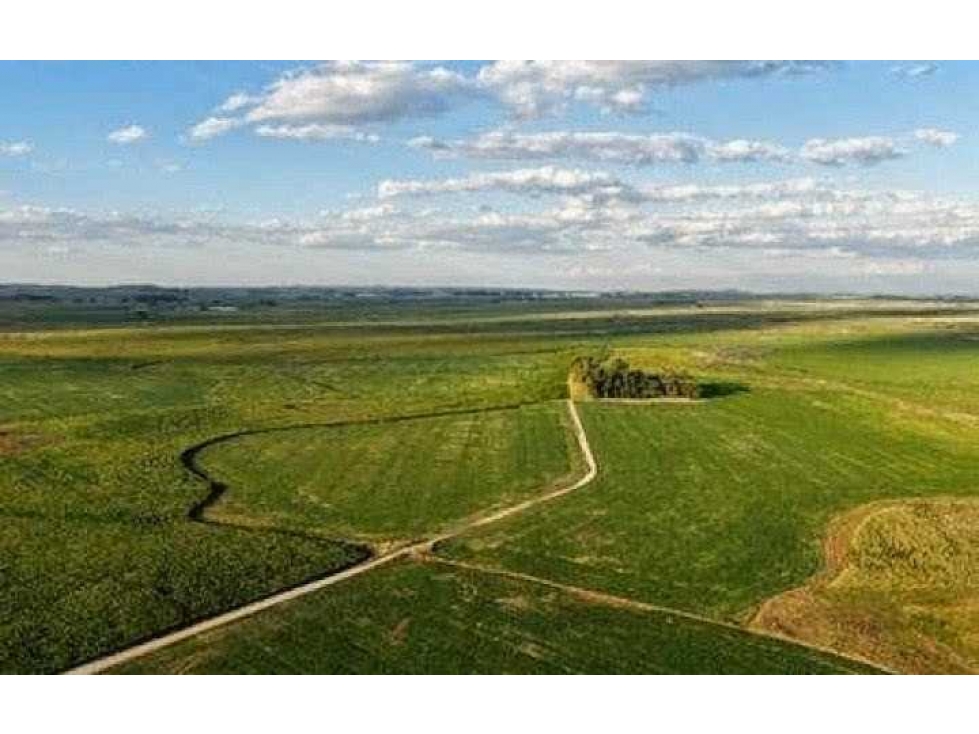 CAMPO 2057 HECTAREAS, MIXTO, LOBERIA, BUENOS AIRES, ARGENTINA - 3