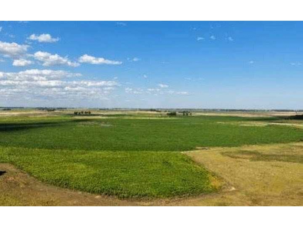 CAMPO 2057 HECTAREAS, MIXTO, LOBERIA, BUENOS AIRES, ARGENTINA - 4