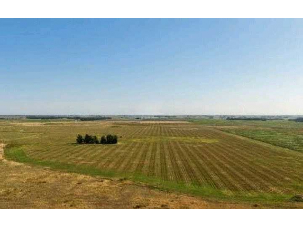CAMPO 2057 HECTAREAS, MIXTO, LOBERIA, BUENOS AIRES, ARGENTINA - 5