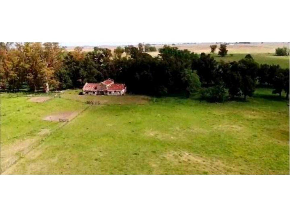 CAMPO 205 HAS, MIXTO, HAROSTEGUY, LAS FLORES, BUENOS AIRES, ARGENTINA - 1