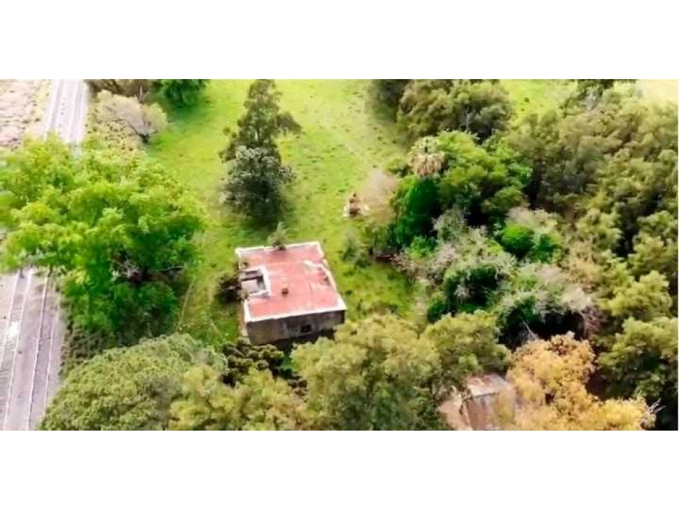 CAMPO 205 HAS, MIXTO, HAROSTEGUY, LAS FLORES, BUENOS AIRES, ARGENTINA - 6