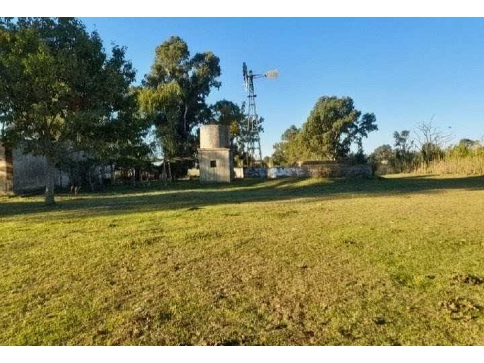 CAMPO 20,7 HECTAREAS, MIXTO, BOLIVAR, BUENOS AIRES, ARGENTINA - 2