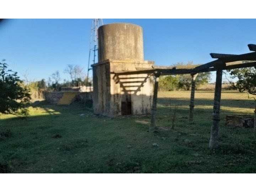 CAMPO 20,7 HECTAREAS, MIXTO, BOLIVAR, BUENOS AIRES, ARGENTINA - 3