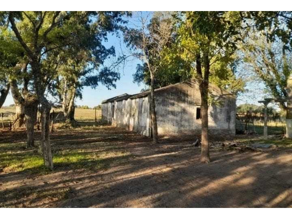CAMPO 20,7 HECTAREAS, MIXTO, BOLIVAR, BUENOS AIRES, ARGENTINA - 4