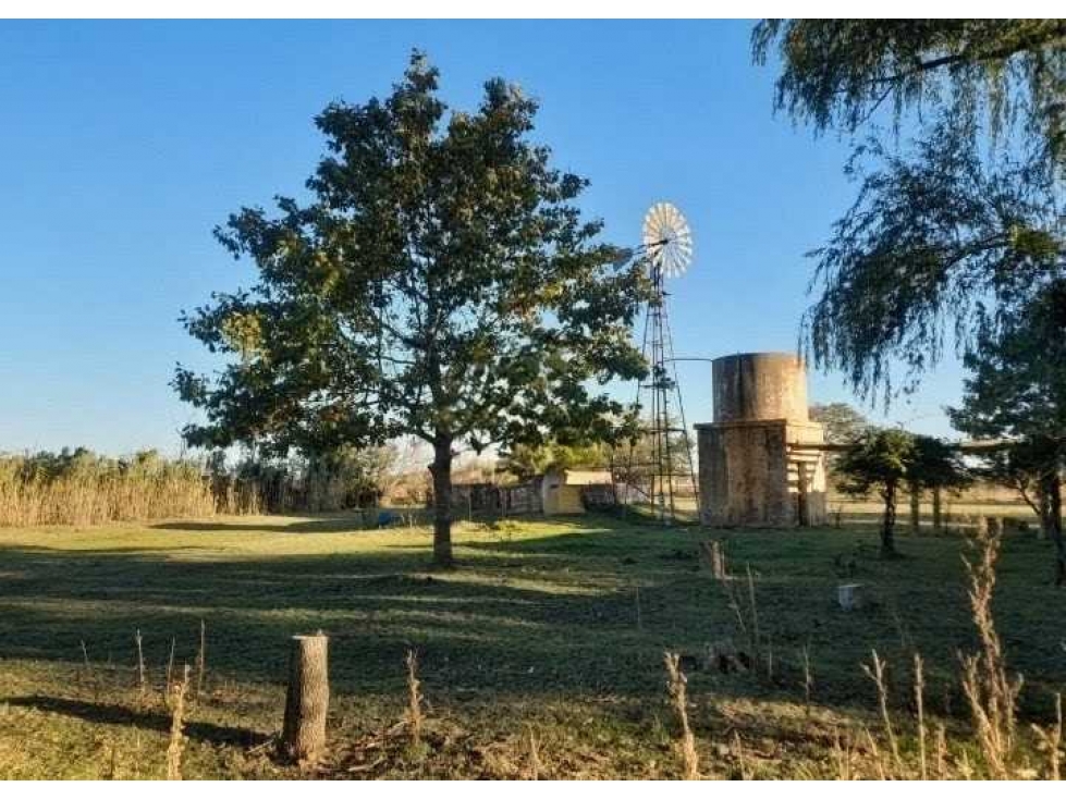 CAMPO 20,7 HECTAREAS, MIXTO, BOLIVAR, BUENOS AIRES, ARGENTINA - 5