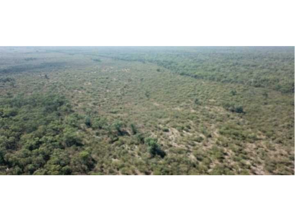 CAMPO 21000 HECTAREAS, MIXTO, SIMBOL, SANTIAGO DEL ESTERO, ARGENTINA - 2