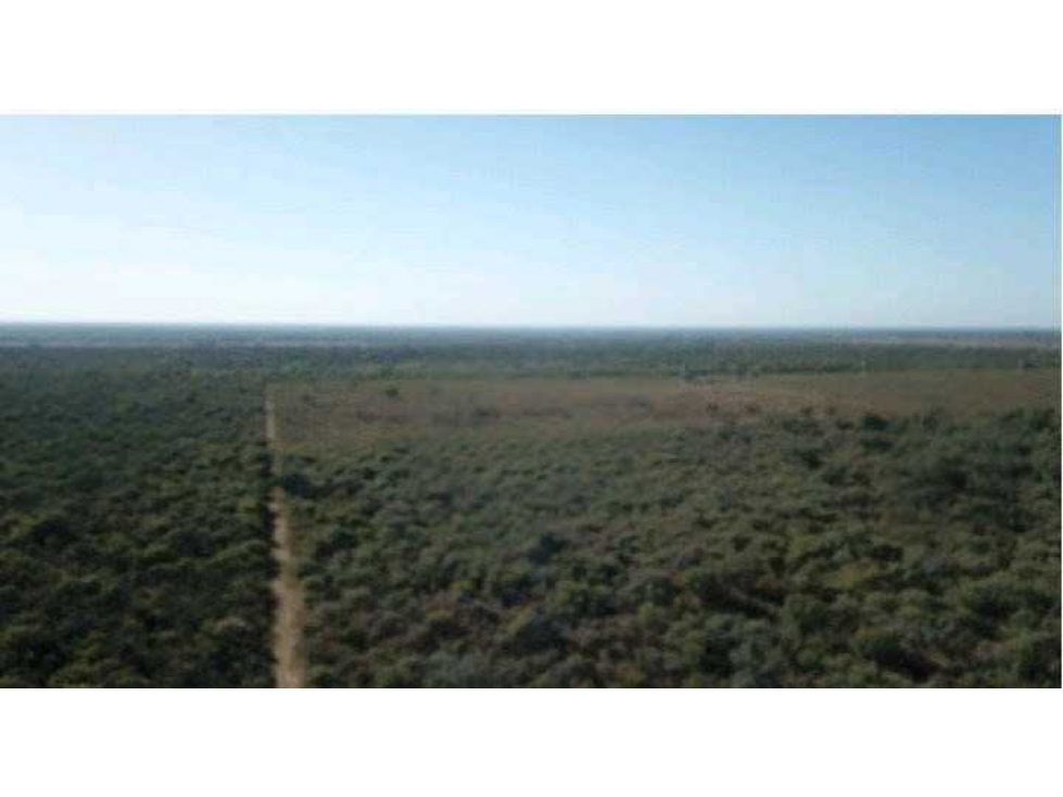 CAMPO 21000 HECTAREAS, MIXTO, SIMBOL, SANTIAGO DEL ESTERO, ARGENTINA - 3