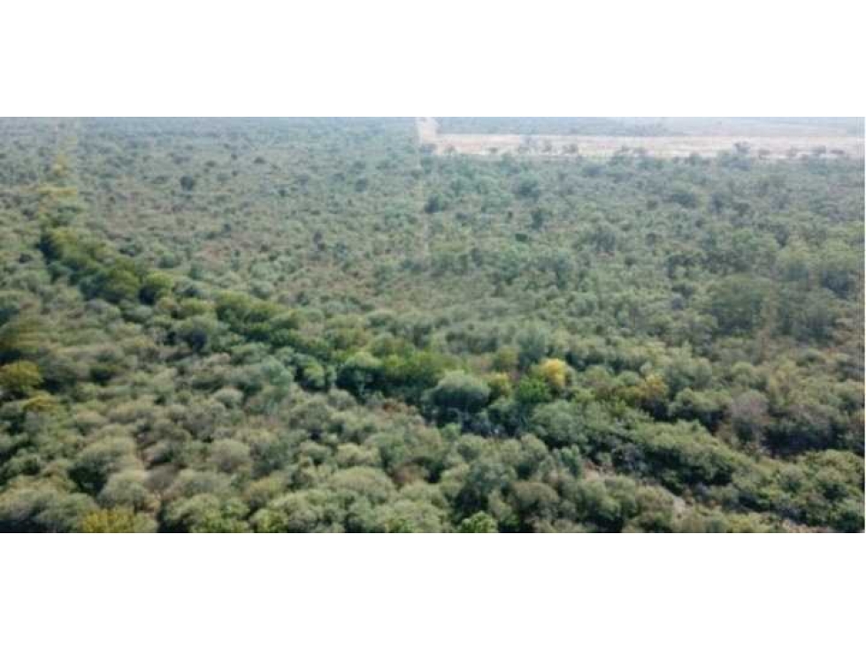 CAMPO 21000 HECTAREAS, MIXTO, SIMBOL, SANTIAGO DEL ESTERO, ARGENTINA - 4