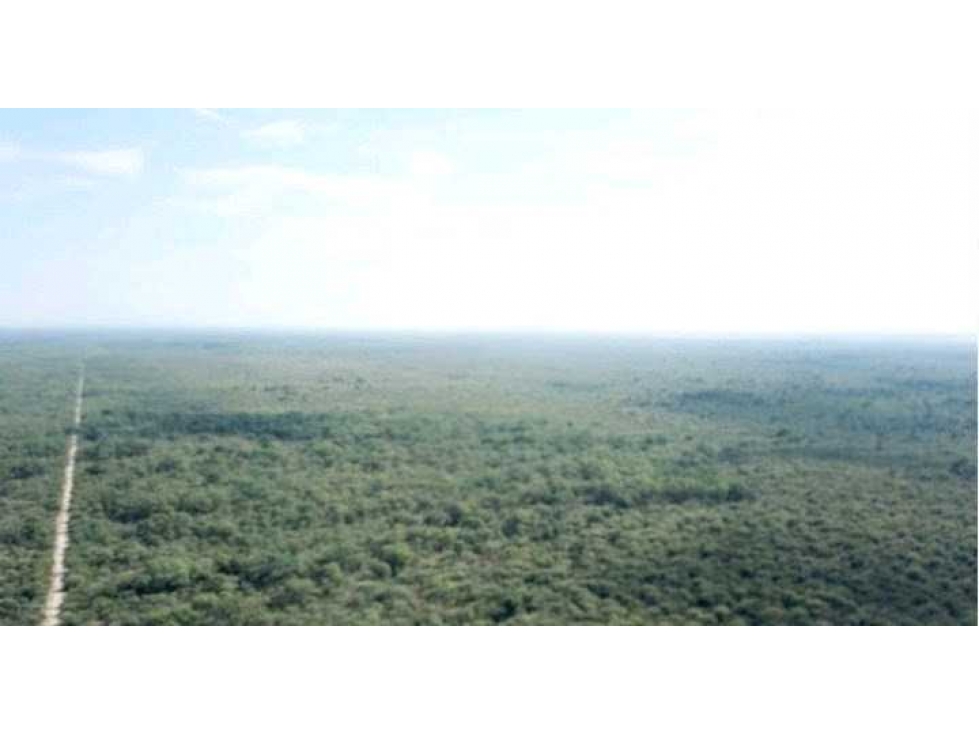 CAMPO 21000 HECTAREAS, MIXTO, SIMBOL, SANTIAGO DEL ESTERO, ARGENTINA - 5