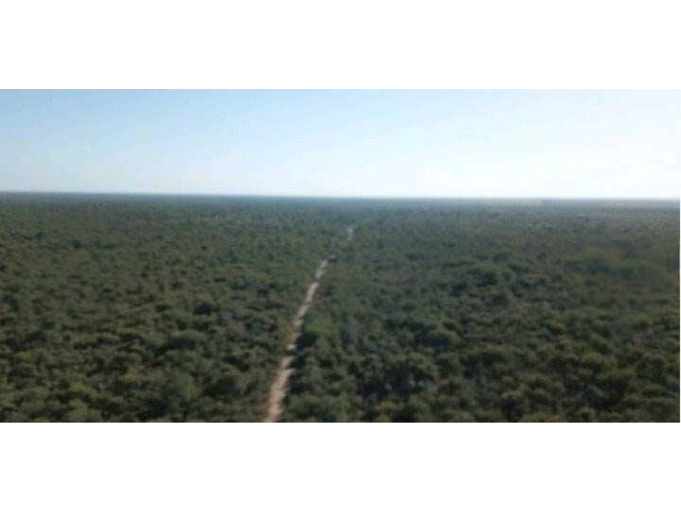 CAMPO 21000 HECTAREAS, MIXTO, SIMBOL, SANTIAGO DEL ESTERO, ARGENTINA - 6