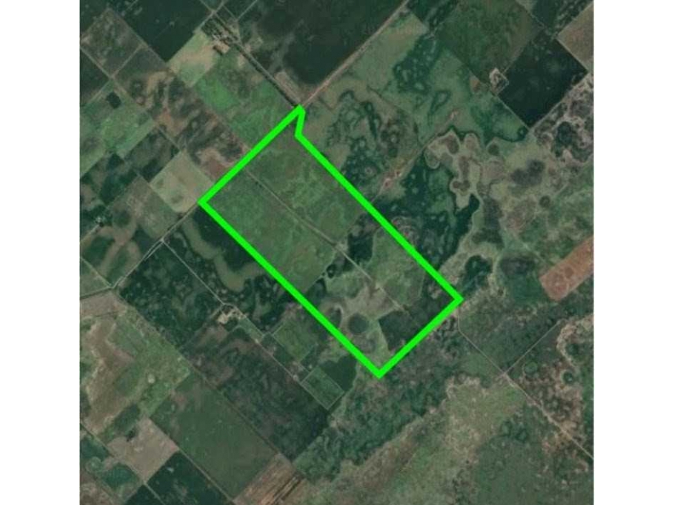 CAMPO 210 HAS,AGRICOLA, GENERAL VIAMONTE, BUENOS AIRES, ARGENTINA - 5