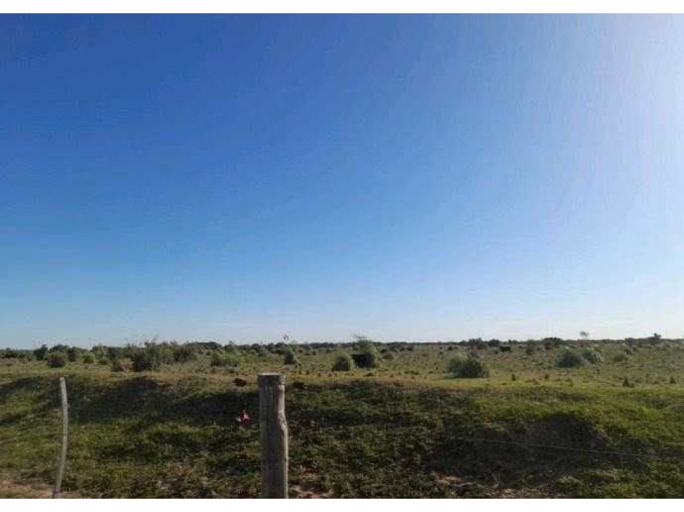 CAMPO 2200 HECTAREAS,AGRICOLA,LABOULAYE, CORDOBA, ARGENTINA - 5