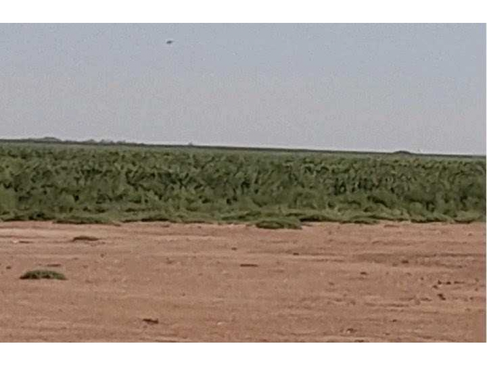 CAMPO 2200 HECTAREAS,AGRICOLA,LABOULAYE, CORDOBA, ARGENTINA - 6