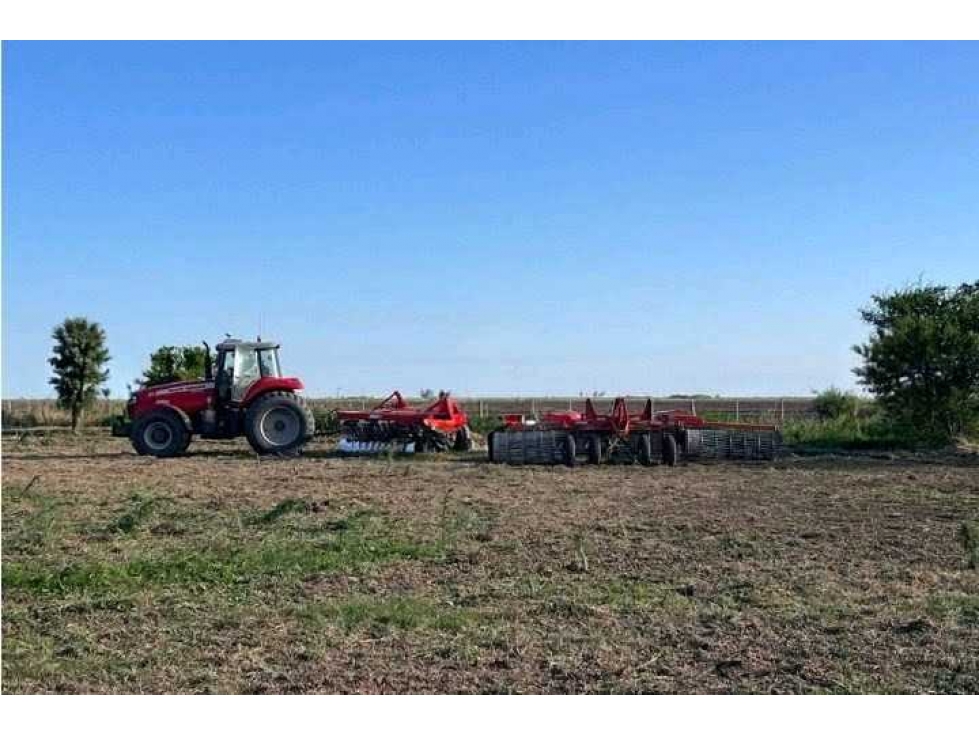 CAMPO 223 HECTAREAS, AGRICOLA, EL FLORENTINO, CORDOBA, ARGENTINA - 1