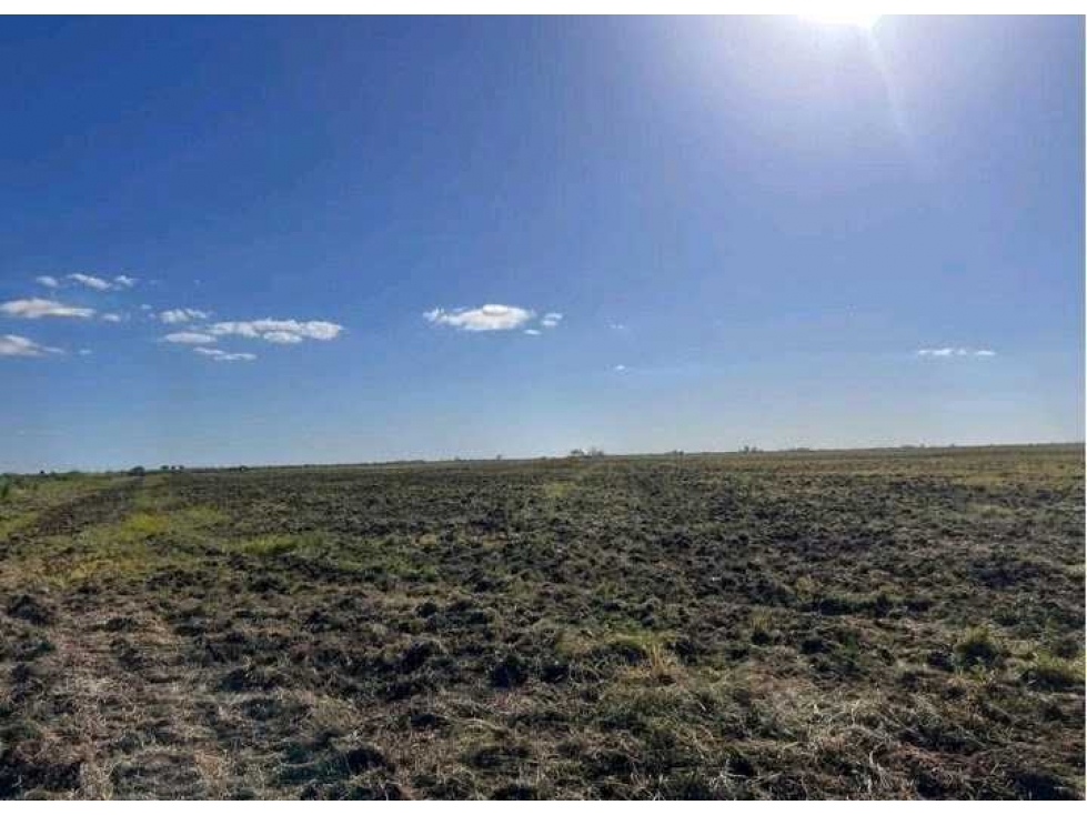 CAMPO 223 HECTAREAS, AGRICOLA, EL FLORENTINO, CORDOBA, ARGENTINA - 2