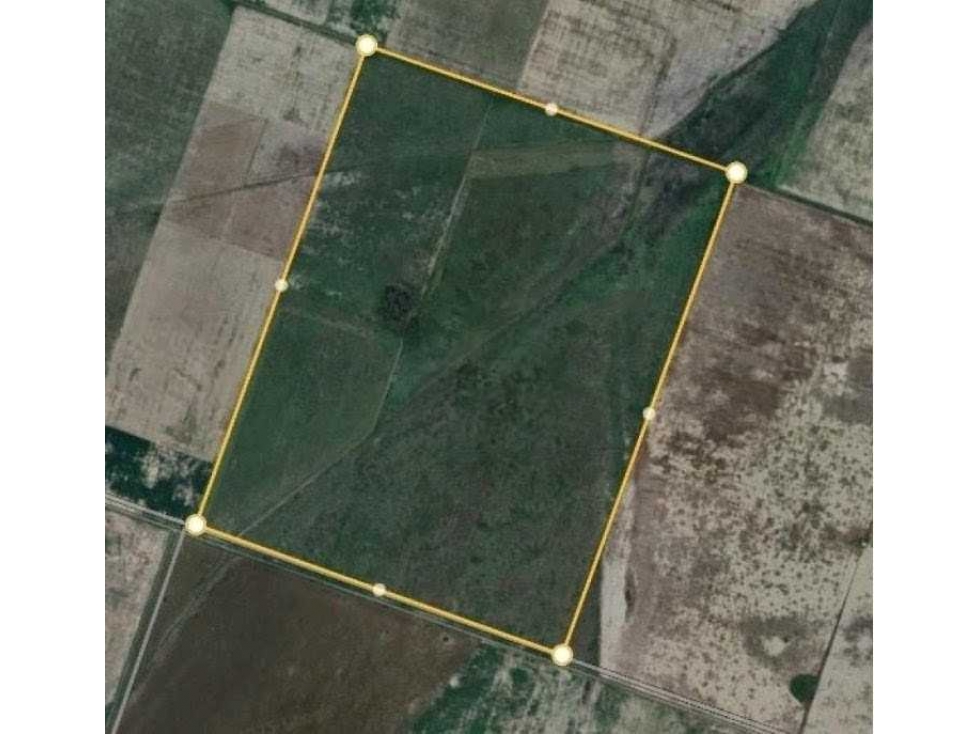CAMPO 223 HECTAREAS, AGRICOLA, EL FLORENTINO, CORDOBA, ARGENTINA - 4