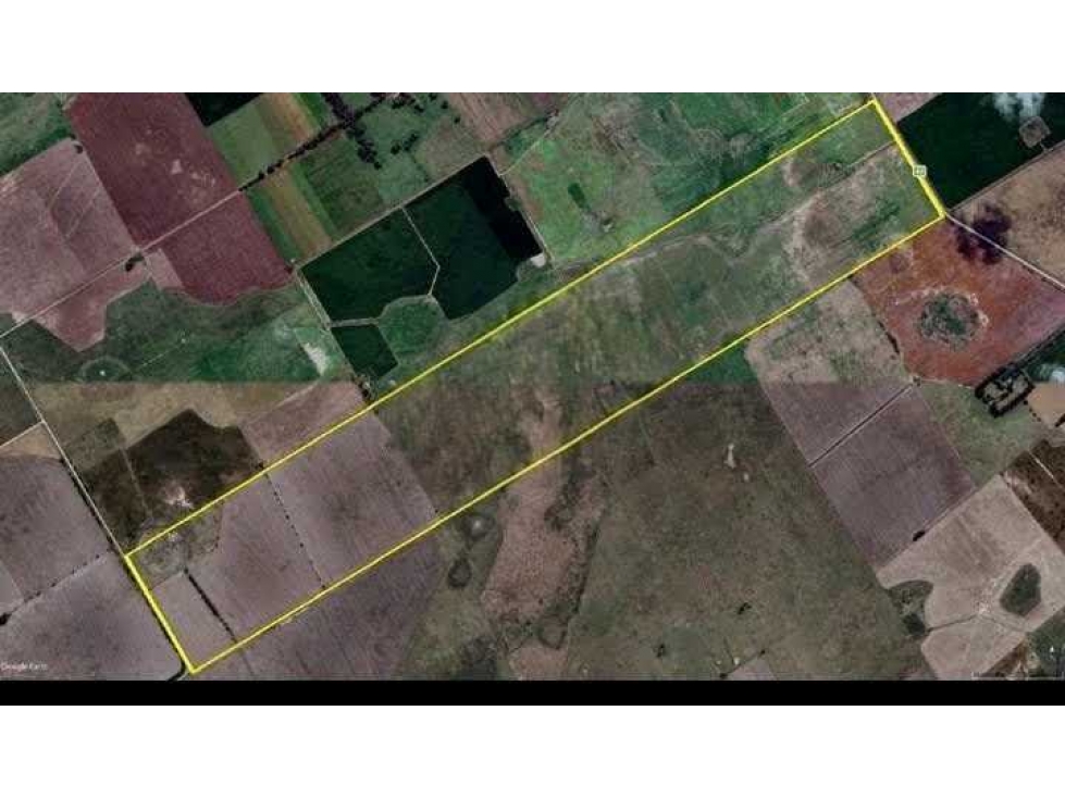 CAMPO 229 HECTAREAS, MIXTO, NAVARRO, BUENOS AIRES, ARGENTINA - 2