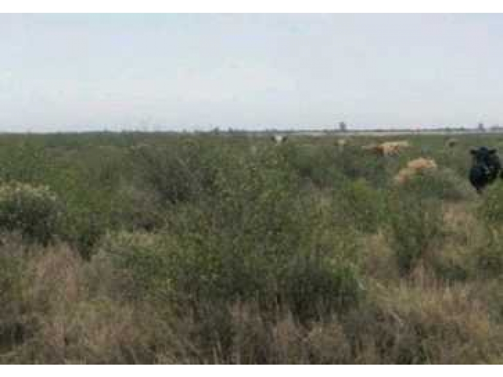 CAMPO 24000 HECTAREAS, MIXTO,CRUZ DEL EJE, CORDOBA, ARGENTINA - 2