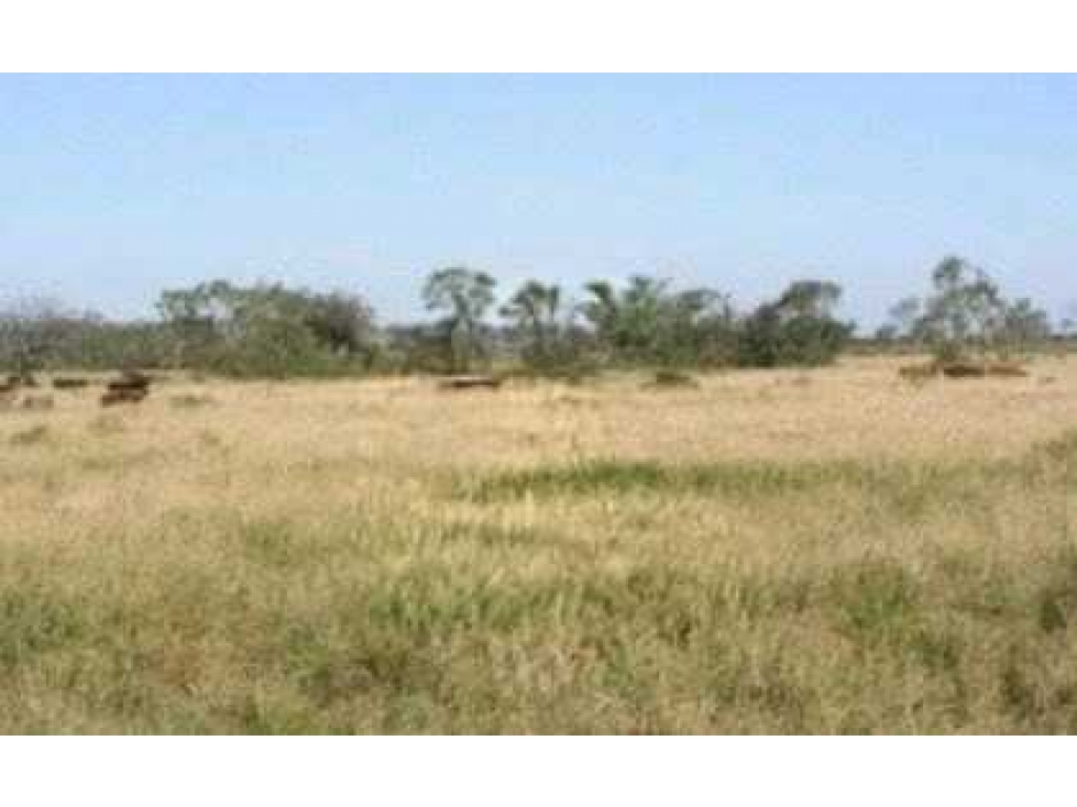 CAMPO 24000 HECTAREAS, MIXTO,CRUZ DEL EJE, CORDOBA, ARGENTINA - 3