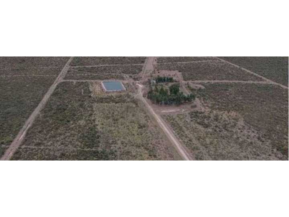 CAMPO 2417 HECTAREAS,GANADERO, GRAL. ALVEAR, MENDOZA, ARGENTINA - 2