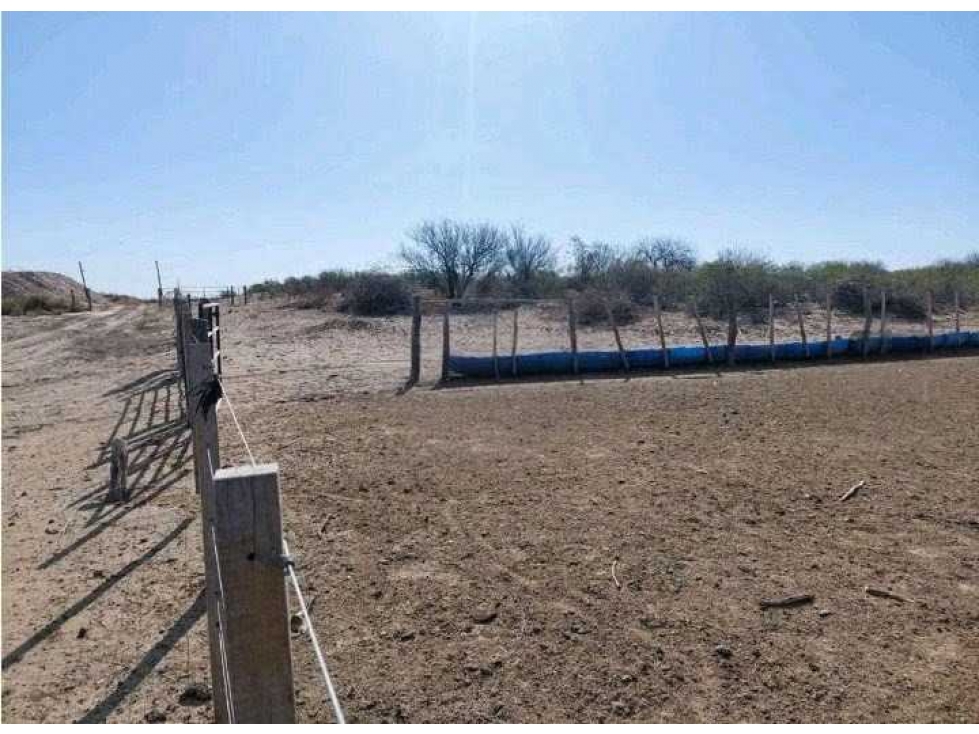 CAMPO 2417 HECTAREAS,GANADERO, GRAL. ALVEAR, MENDOZA, ARGENTINA - 3