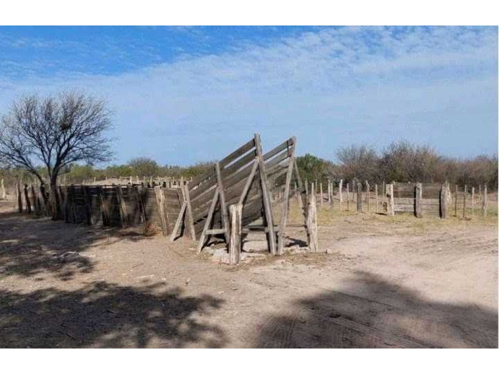 CAMPO 2417 HECTAREAS,GANADERO, GRAL. ALVEAR, MENDOZA, ARGENTINA - 4