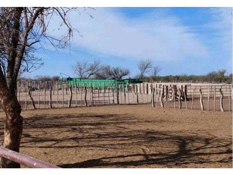 CAMPO 2417 HECTAREAS,GANADERO, GRAL. ALVEAR, MENDOZA, ARGENTINA - 5