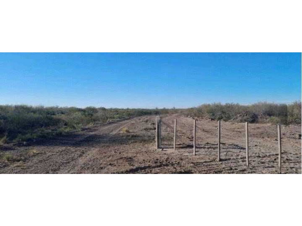 CAMPO 2417 HECTAREAS,GANADERO, GRAL. ALVEAR, MENDOZA, ARGENTINA - 6