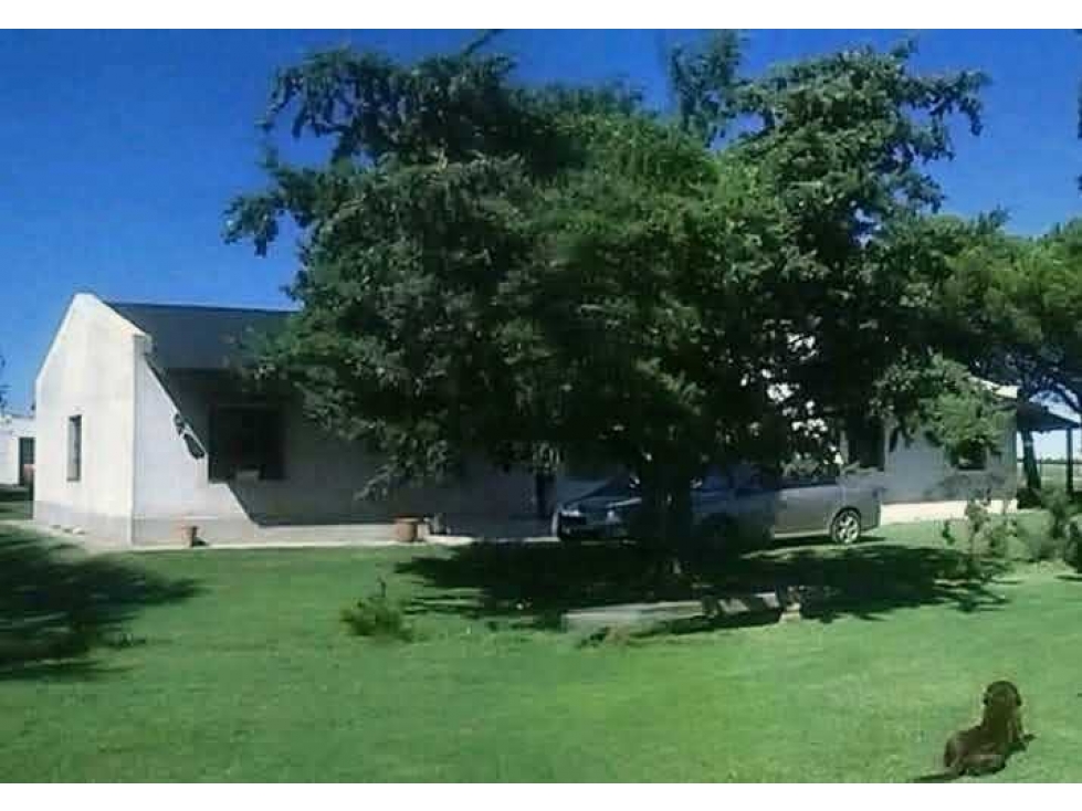 CAMPO 235 HECTAREAS, MIXTO, TORNQUIST, BUENOS AIRES, ARGENTINA - 4