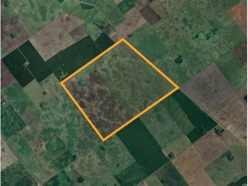 CAMPO 244 HAS, MIXTO, REYNOSO, SALADILLO, BUENOS AIRES, ARGENTINA - 2