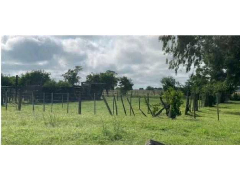 CAMPO 248 HECTAREAS, MIXTO, CAÑUELAS, BUENOS AIRES, ARGENTINA - 3