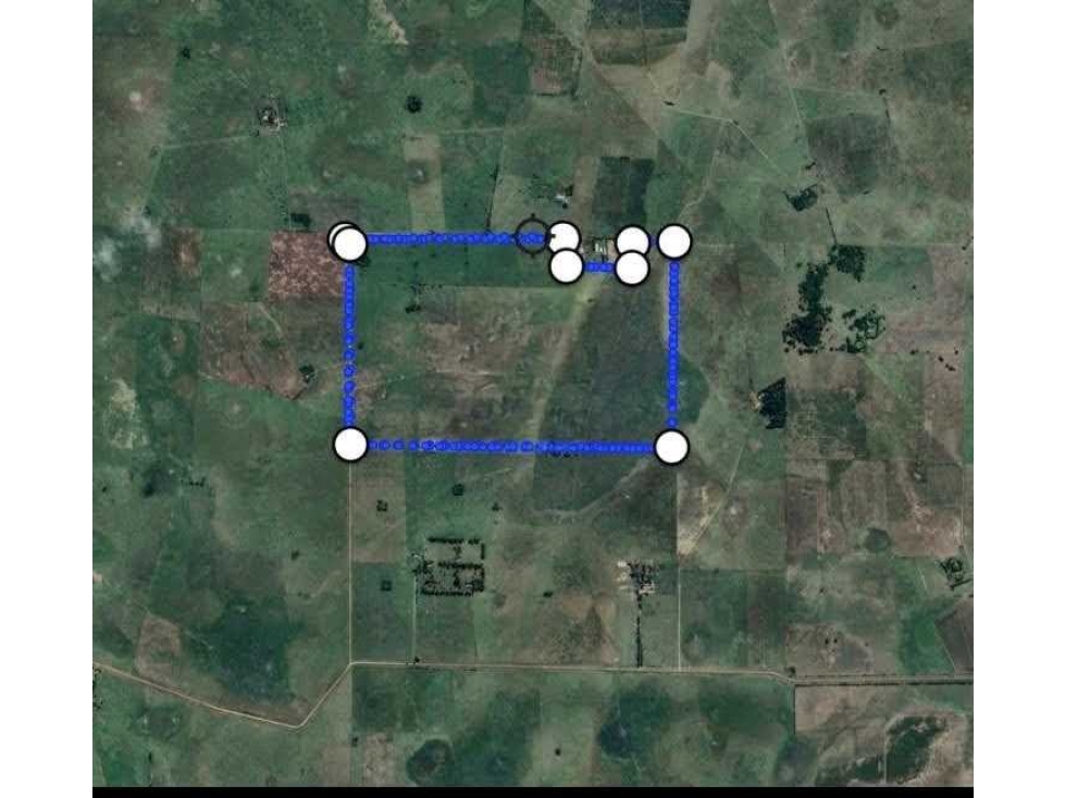 CAMPO 248 HECTAREAS, MIXTO, CAÑUELAS, BUENOS AIRES, ARGENTINA - 6