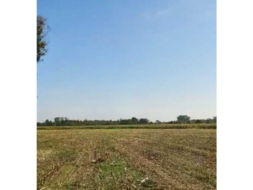 CAMPO 24 HECTAREAS, AGRICOLA, MERCEDES, BUENOS AIRES, ARGENTINA - 1