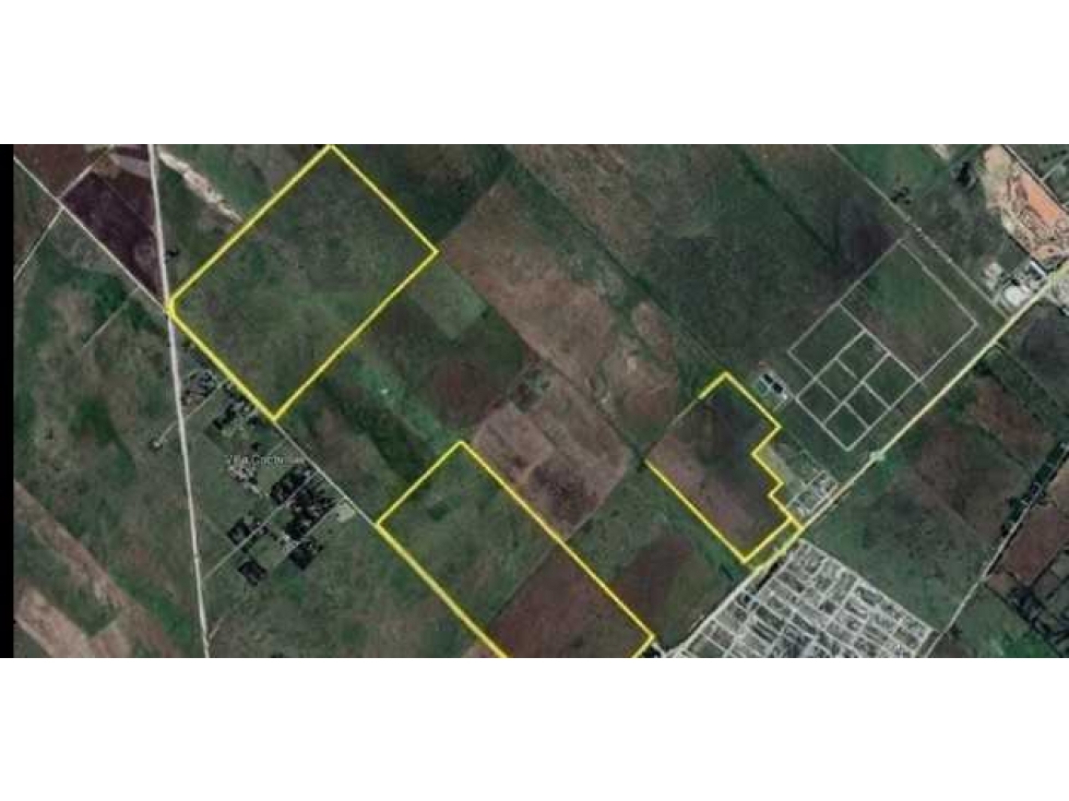 CAMPO 250 HAS, AGRICOLA,LOMA NEGRA, OLAVARRIA, BUENOS AIRES, ARGENTINA - 2