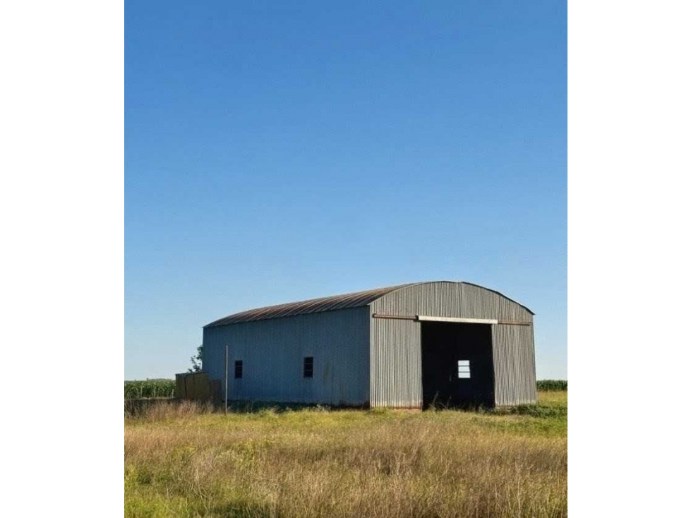 CAMPO 262 HECTAREAS,AGRICOLA, GONZALEZ MORENO, BUENOS AIRES, ARGENTINA - 3