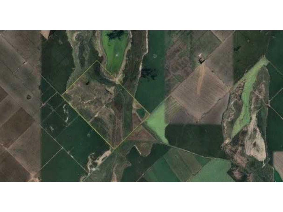 CAMPO 262 HECTAREAS,AGRICOLA, GONZALEZ MORENO, BUENOS AIRES, ARGENTINA - 6
