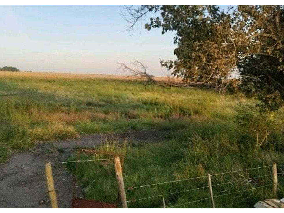 CAMPO 280 HECTAREAS, AGRICOLA, GENERAL ALVEAR, BUENOS AIRES, ARGENTINA - 2
