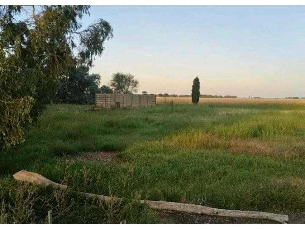 CAMPO 280 HECTAREAS, AGRICOLA, GENERAL ALVEAR, BUENOS AIRES, ARGENTINA - 3