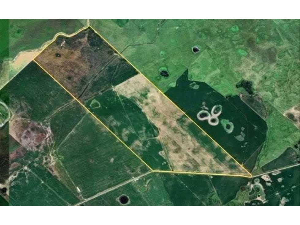 CAMPO 280 HECTAREAS, AGRICOLA, GENERAL ALVEAR, BUENOS AIRES, ARGENTINA - 5