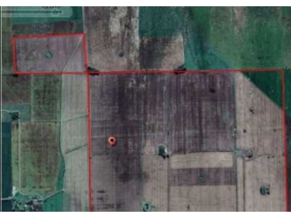 CAMPO 280 HECTAREAS, AGRICOLA, RAMALLO, BUENOS AIRES, ARGENTINA - 4
