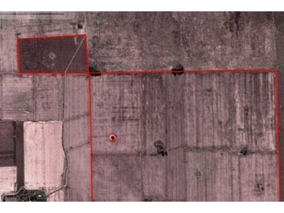 CAMPO 280 HECTAREAS, AGRICOLA, RAMALLO, BUENOS AIRES, ARGENTINA - 5