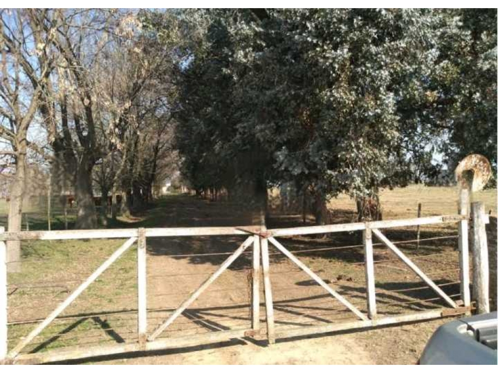 CAMPO 286 HECTAREAS GANADERO, GDOR.UDAONDO, BUENOS AIRES, ARGENTINA - 4