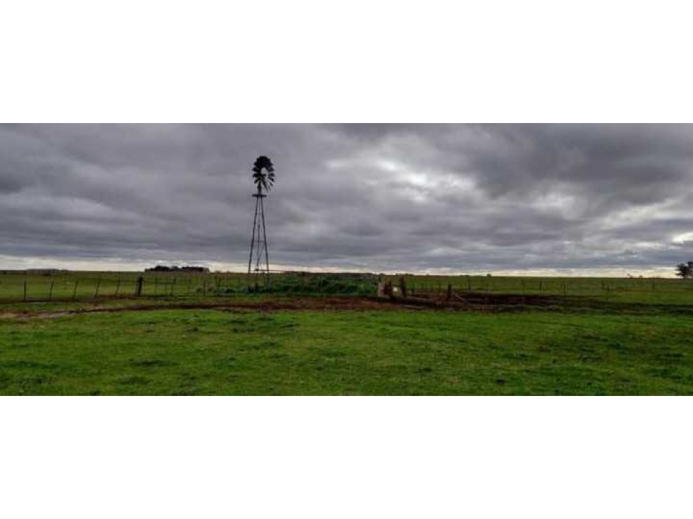 CAMPO 297 HECTAREAS, MIXTO, AYACUCHO, BUENOS AIRES, ARGENTINA - 3