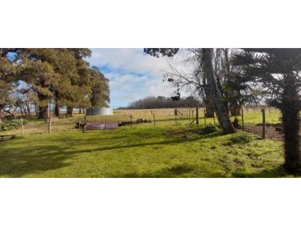 CAMPO 297 HECTAREAS, MIXTO, AYACUCHO, BUENOS AIRES, ARGENTINA - 4