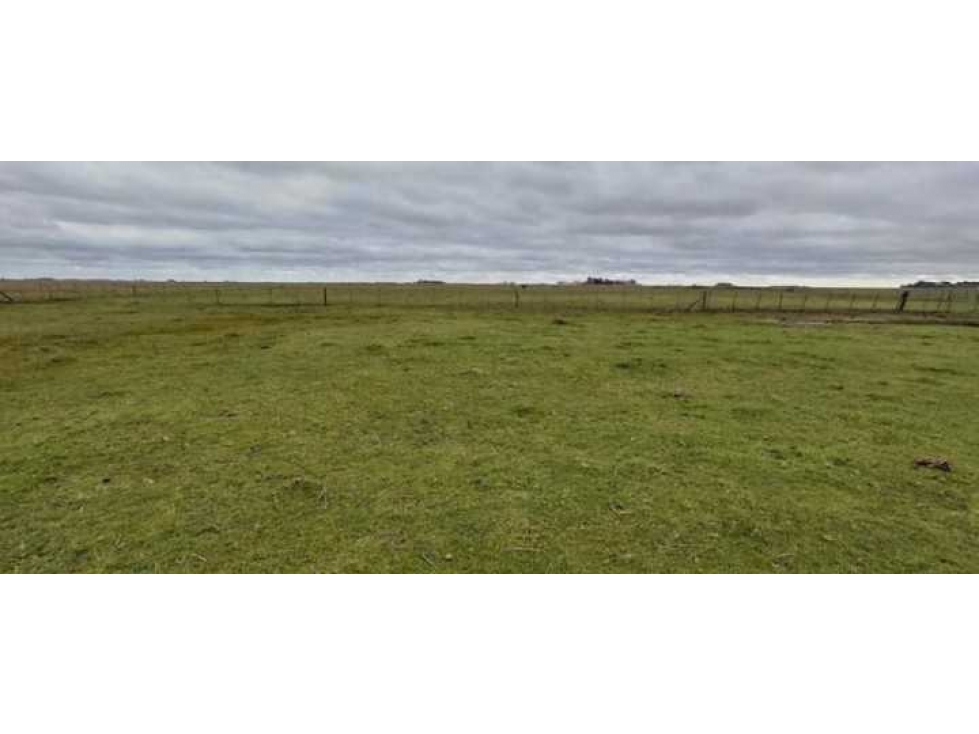 CAMPO 297 HECTAREAS, MIXTO, AYACUCHO, BUENOS AIRES, ARGENTINA - 5