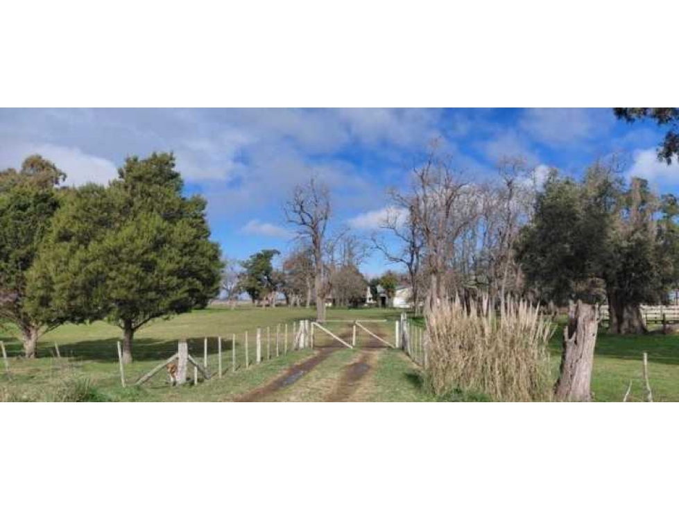 CAMPO 297 HECTAREAS, MIXTO, AYACUCHO, BUENOS AIRES, ARGENTINA - 6